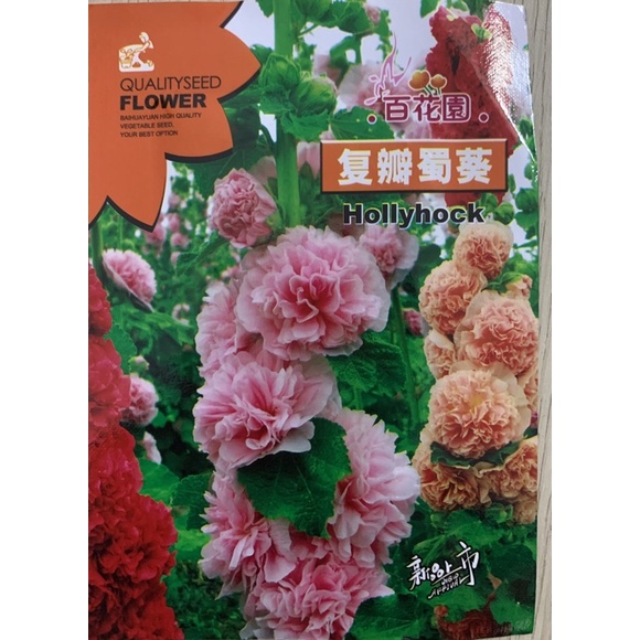 Hạt giống Mãn Đình Hồng Kép Mix Nhập Khẩu nguyên bao bì - 100 hạt - Tỷ lệ nảy mầm 95%