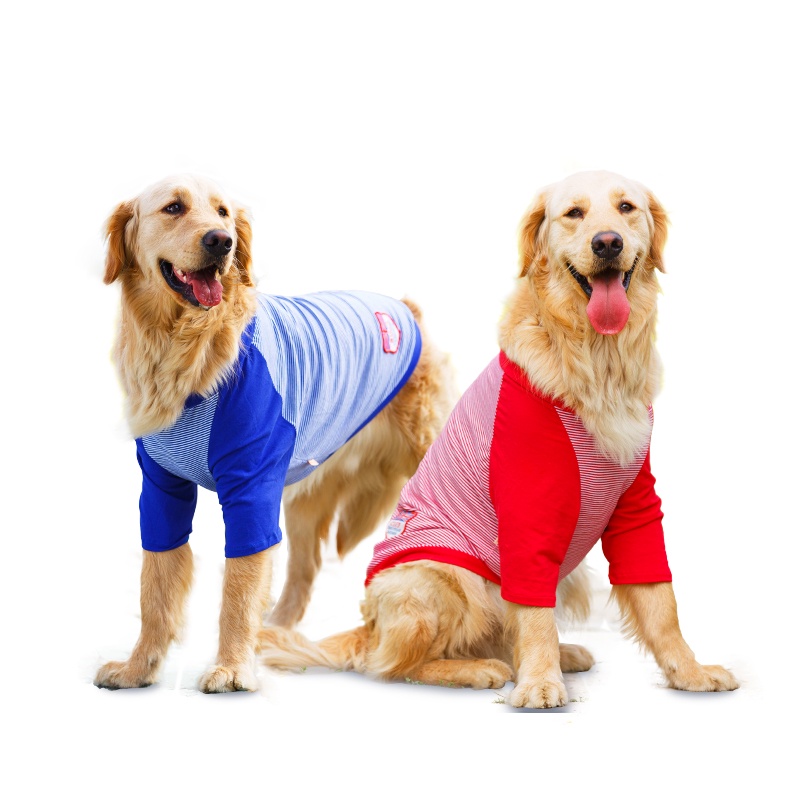 Áo mặc mùa hè thoáng khí cho thú cưng