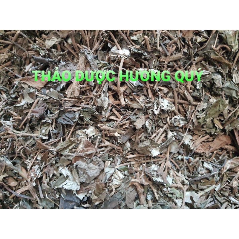 Cây bạc thau 1 kg lá khô