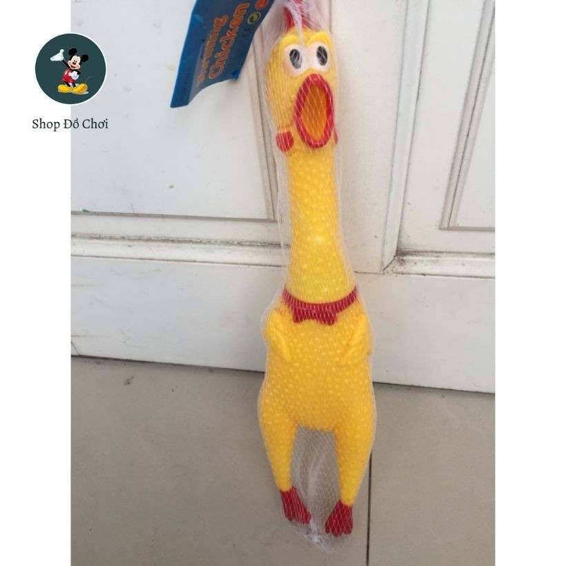 Gà tây shrilling chicken cao 37 cm