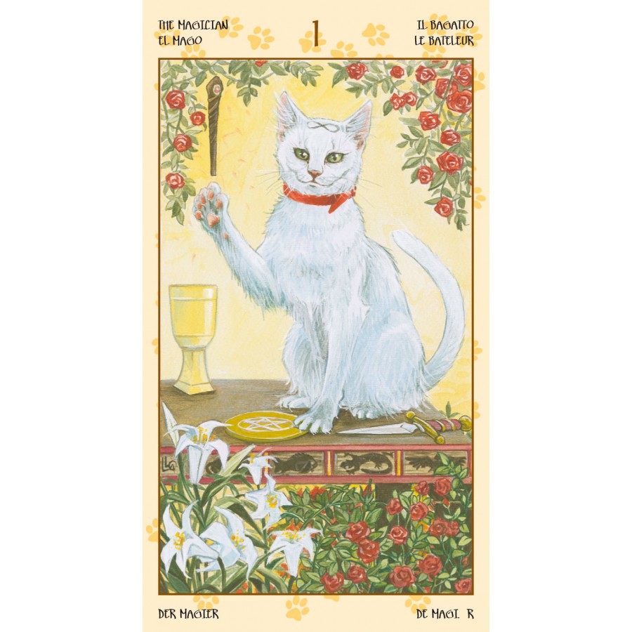 Bộ Bài Tarot of Pagan Cats (Mystic House Tarot Shop)