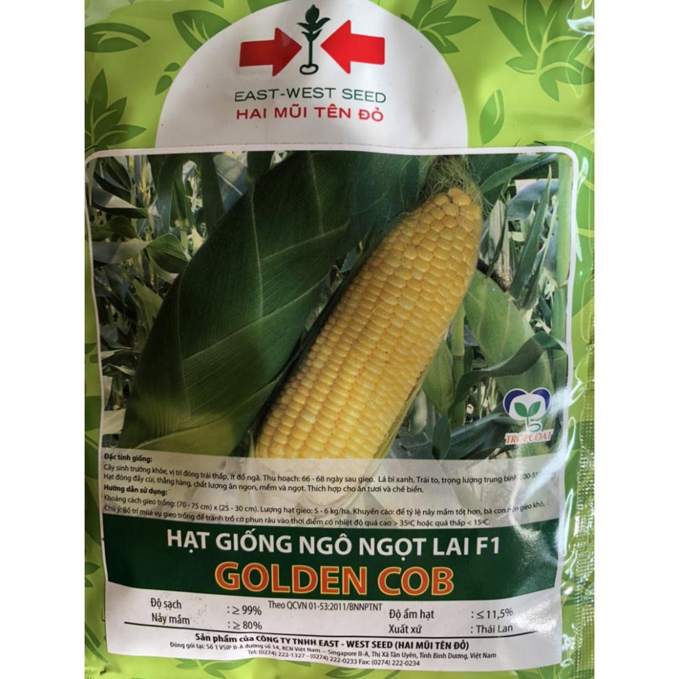 Hạt giống NGÔ NGỌT LAI F1 GOLDEN COB 2 MŨI TÊN 50 Gam
