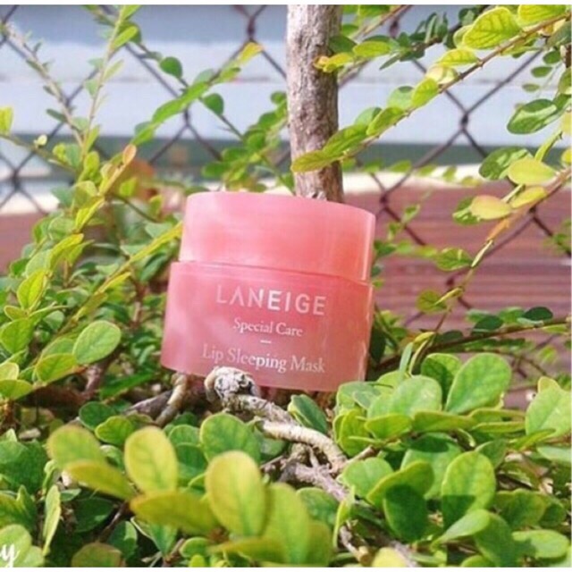 Mặt nạ ngủ môi Laneige Lip Sleeping Mask mini 3g