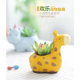 Chậu trồng cây mini hình động vật ngộ nghĩnh