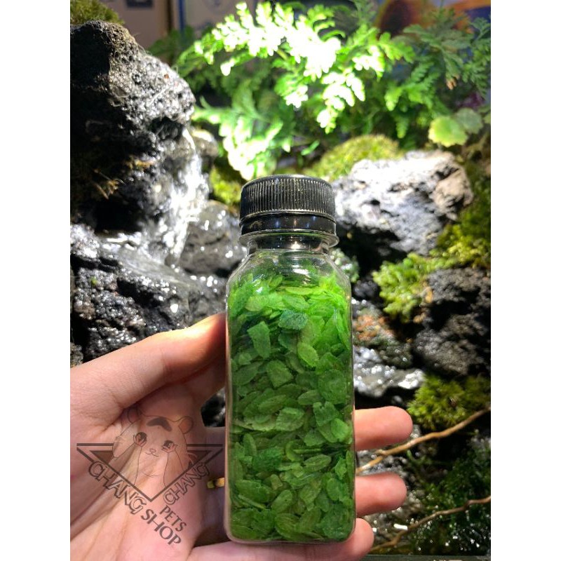 [Chai 10k] Cốm dẹp xanh cho hamster