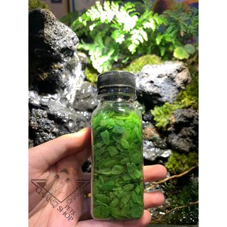[Chai 10k] Cốm dẹp xanh cho hamster