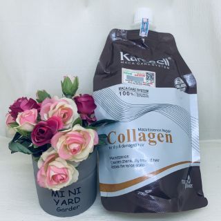 Hấp dầu collagen 500ml
