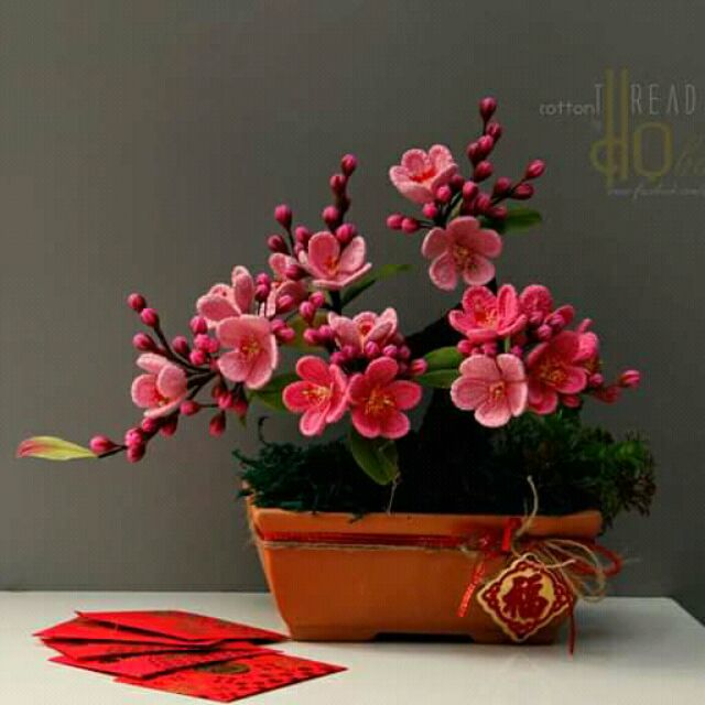 Combo hoa đào @c Thuy 454