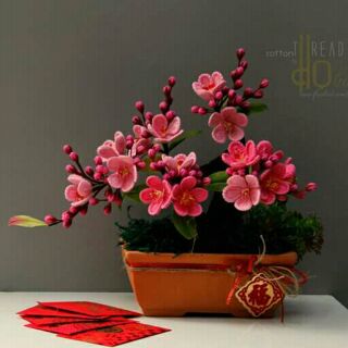 Combo hoa đào @c Thuy 454