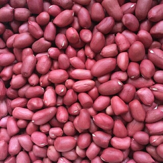 500G Lạc đỏ (đậu phộng)