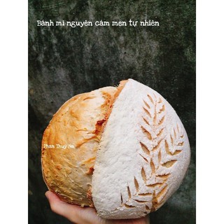 Bột mì nguyên cám hữu cơ