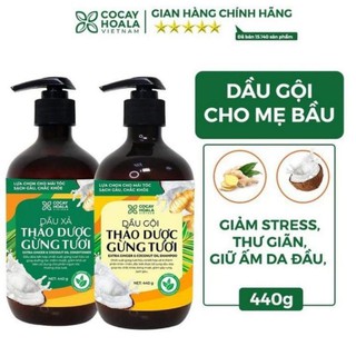 Bộ dầu gội sạch gàu thảo dược gừng dừa Cocayhoala đánh bay gàu giảm ngứa dung tích 440g/chai