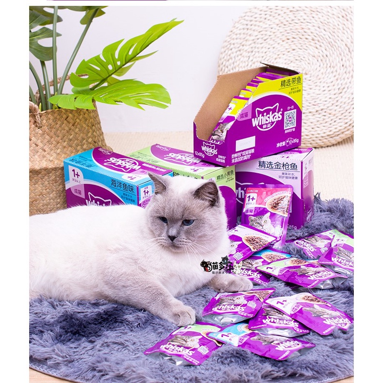 Thức Ăn Ướt Pate WHISKAS Cho Mèo Con Mèo Lớn Gói Tiện Lợi
