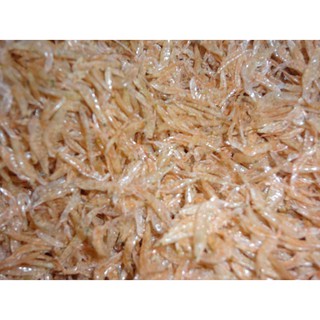 300 gram tép biển khô sạch ngon