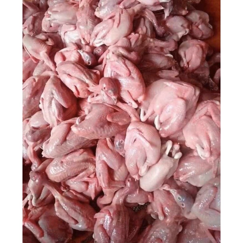 Combo 10 con chim cút tươi sống ❤THƠM NGON ❤️ tẩm ướp sẵn, hút chân không tiện lợi