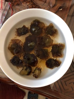 Hạt Ươi rừng
