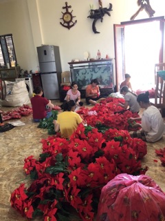 Cây hoa trạng nguyên -5 bông