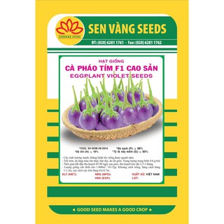 Hạt giống Cà Pháo Tím F1 1Gr Cao Sản Dễ trồng Năng Suất