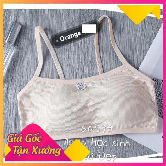 Áo Lót Nữ, Áo Bra Học Sinh,Bé Gái Có Đệm Ngực - Bra 6059