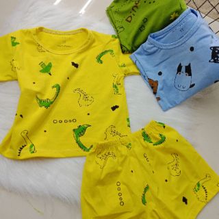 Bộ hình cho bé trai 8-18kg