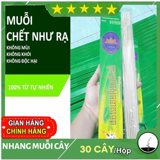 Nhang muỗi cây thái lan hộp 30 cây- hàng chuẩn