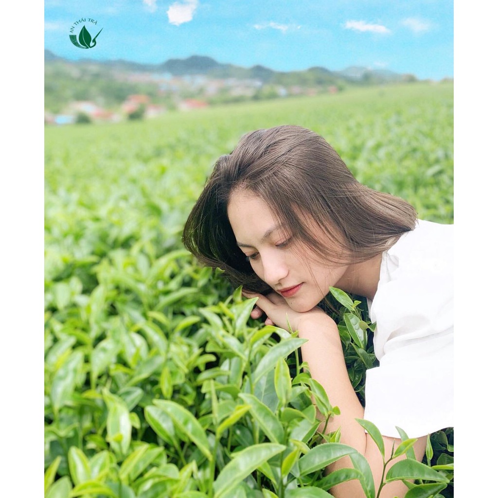 Hộp trà nõn tôm biếu tặng cao cấp tặng kèm túi xách sang trọng - Đặc sản Thái Nguyên thơm ngon hút chân không hộp 400g | BigBuy360 - bigbuy360.vn