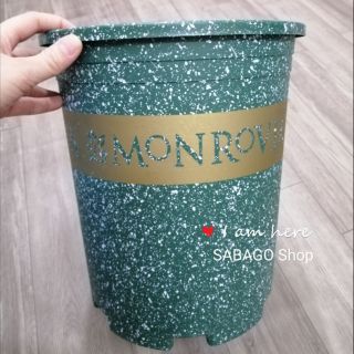 Combo 10 Chậu Monrovia 5 Gallon hàng VN bền đep