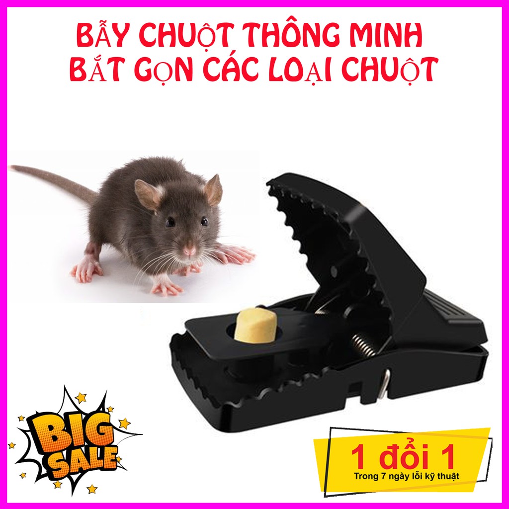 💥RẺ VÔ ĐỊCH💥 Bẫy chuột đa năng thông minh Tóm Gọn Các Loài Chuột💥SIÊU HOT💥