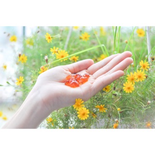 Nhựa hoa đào!