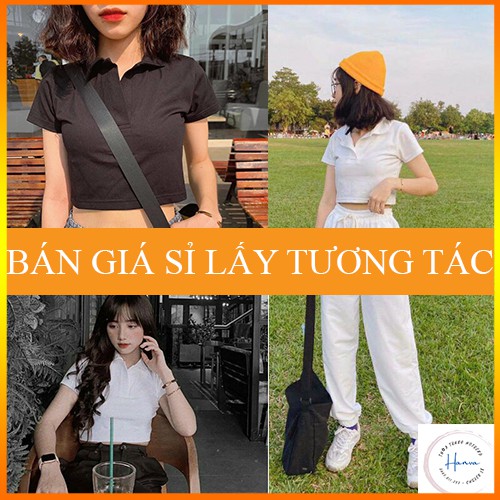 Áo Croptop Có Cổ Tay Ngắn Chất Cotton Co Giãn Loại 1 Hottrend Mặc Đi Chơi, Tập Gym, Mặc Nhà Trẻ Trung Dễ Phối Đồ