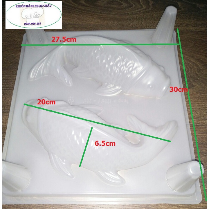 Khuôn hình đôi cá chép