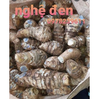 1kg Củ NGHỆ ĐEN tươi hàng chuẩn