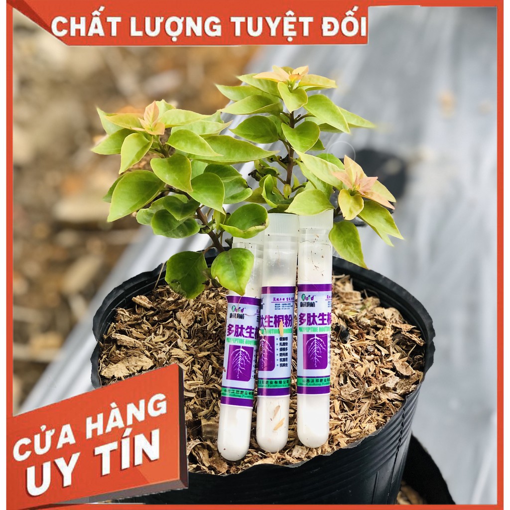 💥 PHÂN BÓN SIÊU RA RỄ CỰC MẠNH [TRUNG NGUYÊN]