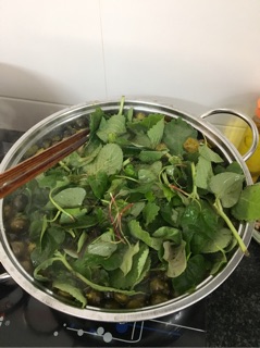 Siro húng chanh
