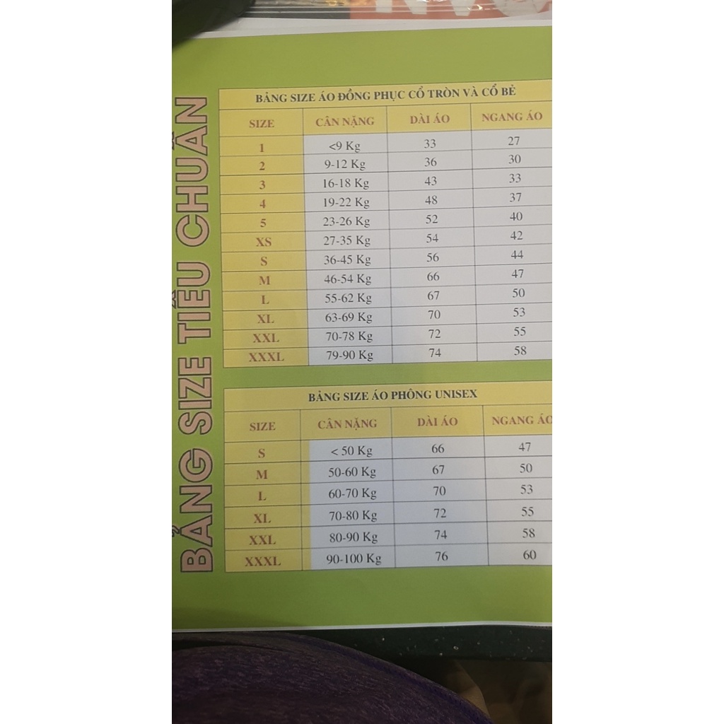 Áo phông Gucci Gấu