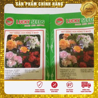 Hạt Giống Hoa Hông Tỉ Muội(20 hạt)
