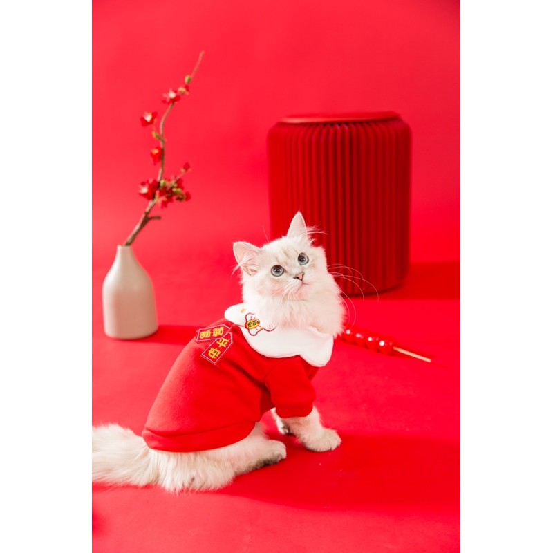 ÁO TẾT 2021 DÀNH CHO THÚ CƯNG