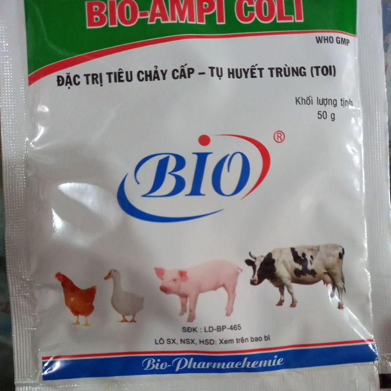 Ampicoli bio 50g sản phẩm chất lượng cao điều trị tiêu chảy cho gia súc, gia cầm