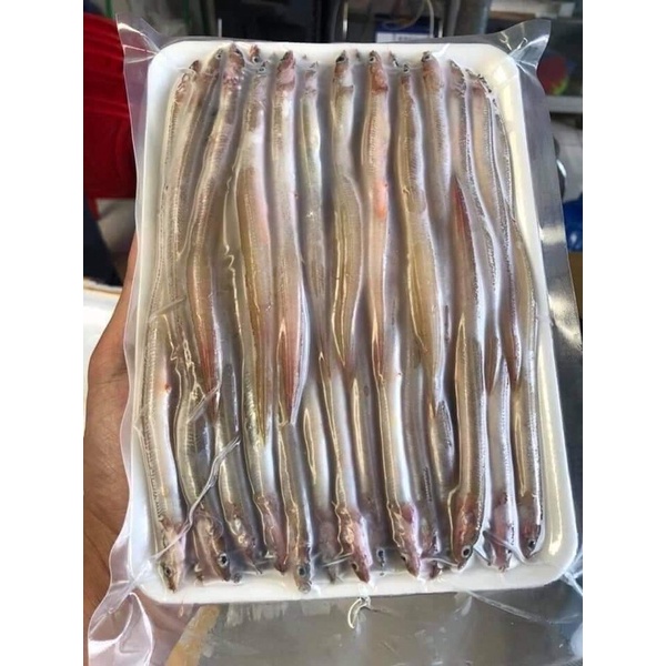 Cá sụn sịn ❤️SIÊU TRỨNG❤️ hot hít thơm ngon dinh dưỡng