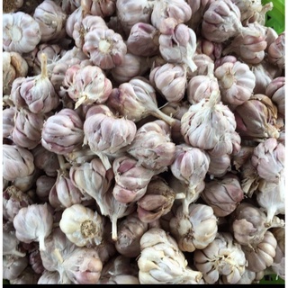 (1kg) TỎI BẮC SIÊU THƠM NGON.