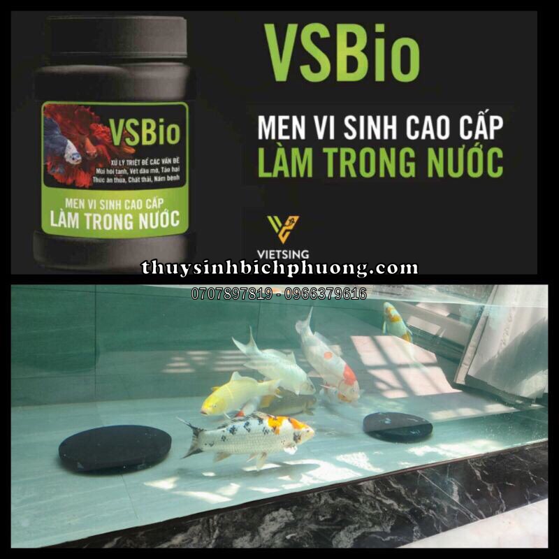 MEN VI SINH LÀM TRONG NƯỚC CHO HỒ CÁ THUỶ SINH | VI SINH LÓT NỀN HỒ THUỶ SINH