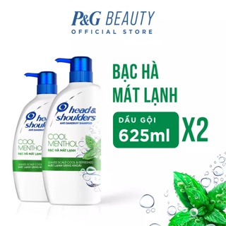 [Mã PG2112B giảm 8% đơn 199K] Combo 2 Chai Dầu Gội Head & Shoulders chai 625ml/Chai