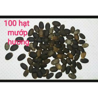100 hạt mướp hương (kèm hướng dẫn)