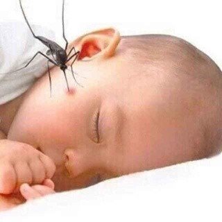 CAO BÔI MUỖI ĐỐT THÁI LAN