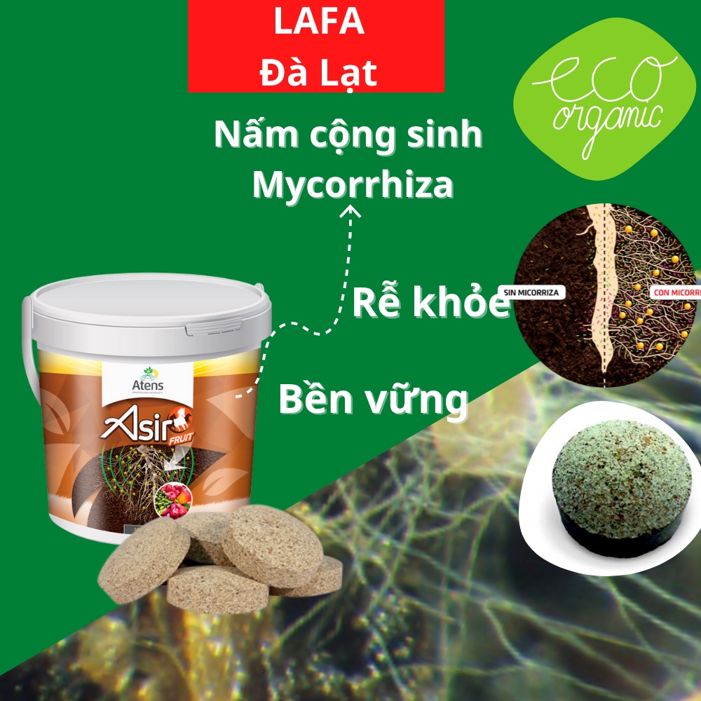 Viên nấm rễ cộng sinh mycorrhiza asir-fruit nhập khẩu Tây Ban Nha