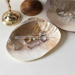 Đĩa ốc Xà Cừ- Đĩa Đốt Sage