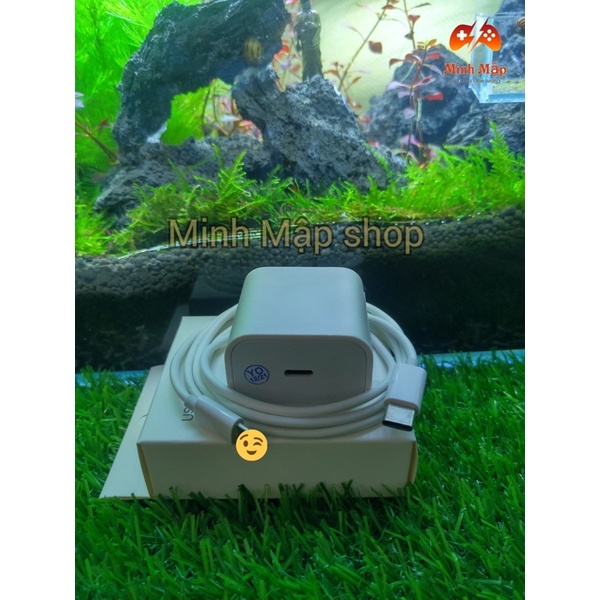 Bộ sạc nhanh IP 20W cáp lighting Type C