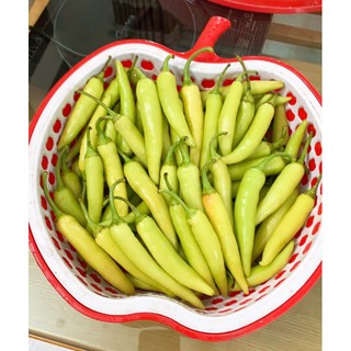 ớt sừng Huế chuẩn 1kg siêu cay