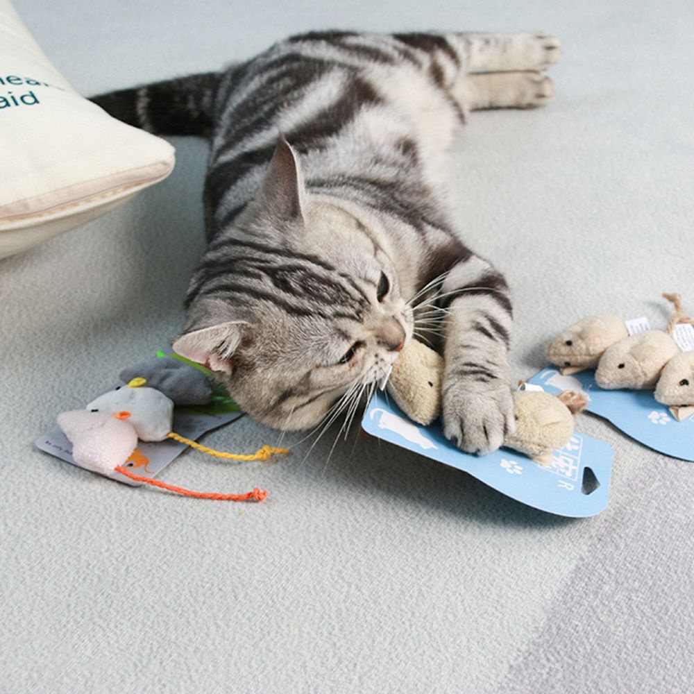 Bộ 3 đồ chơi nhai gặm làm sạch răng cho mèo cưng dễ thương