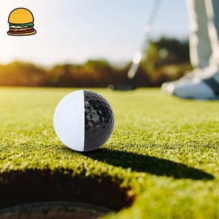 Free Shipping Golf Ball Two Colors Black White Putter Aiming Line Double Layer Golf Practice Ball Training Accessory